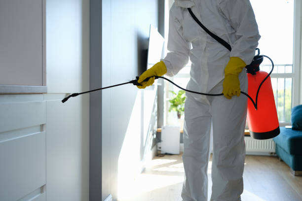 Why You Should Choose Our Mold Remediation Services in University, MS